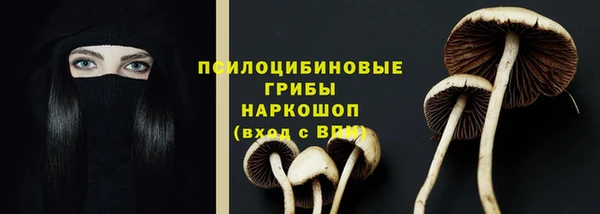 кокс Арсеньев