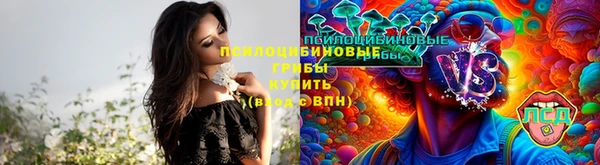 амф Аркадак